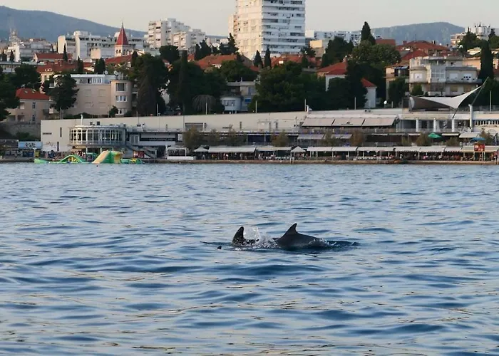 Lejlighed Apartments Sand Beach *